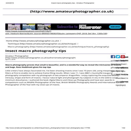 Insect macro photography tips