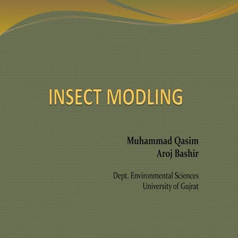 Insect Modeling by Muhammad Qasim, Aroj Bashir