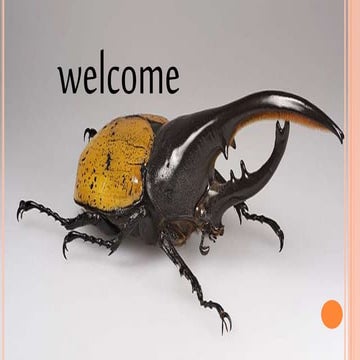 Insect order by kotresh