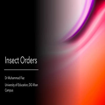 Insect orders