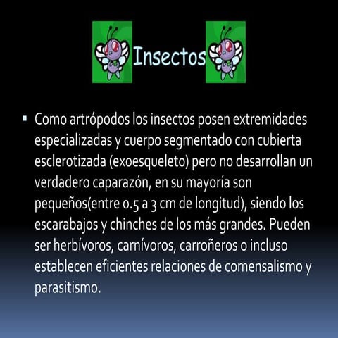 Claves para identificar_insectos | PDF