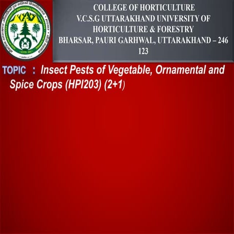 Insect Pests of Vegetable, Ornamental and  Spice Crops 
