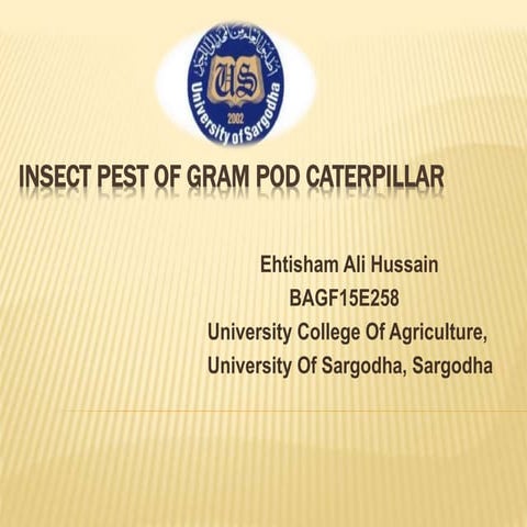 Insect pest of gram pod caterpillar | PPTX