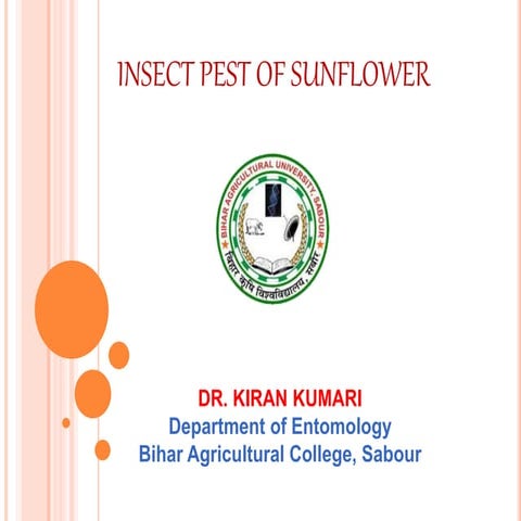 Insect Pest of sun flower Anand kum.pptx