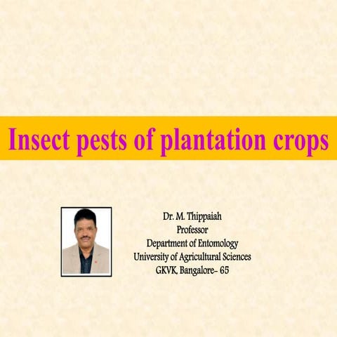 Insect pests of Cococnut | PDF