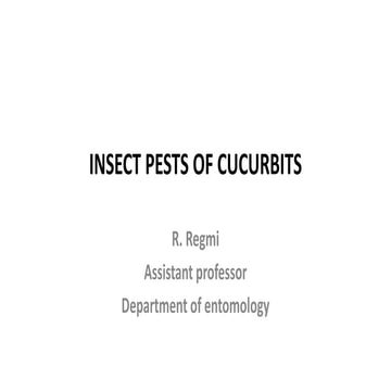 Insect pests of cucurbits