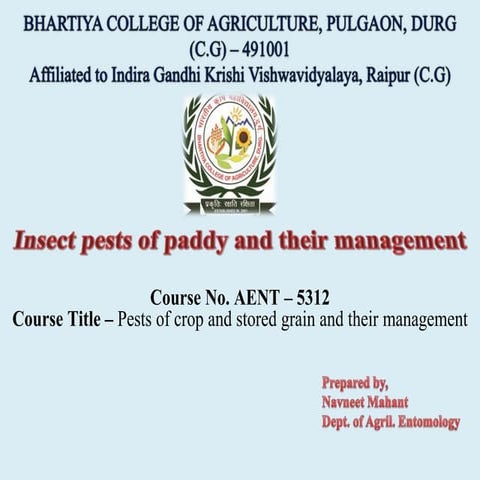 Insect pests of paddy