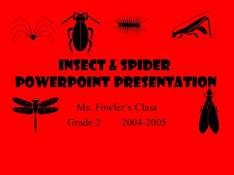 Insect powerpoint presentation