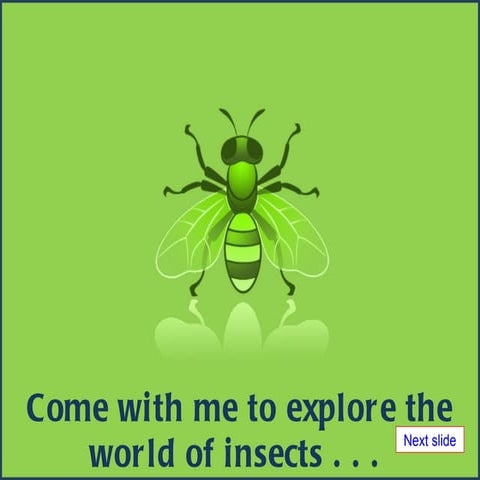 Insects technology class | PPT