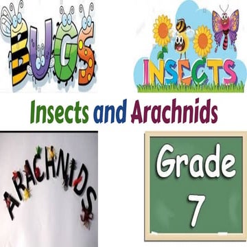 Insects and arachnids