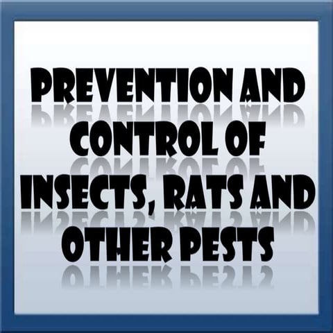 Insects and pests in the society