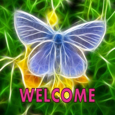 Insects as Medicine (Entomotherapy)