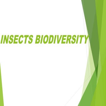 Insects biodiversity