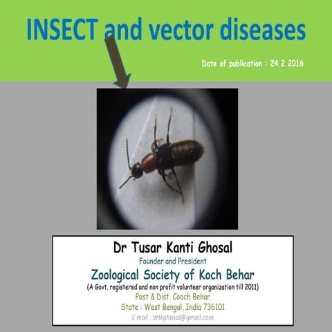 Insect and vector diseases