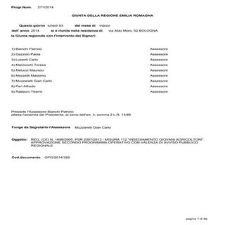 Bando 2014 RER Insediamento giovani...