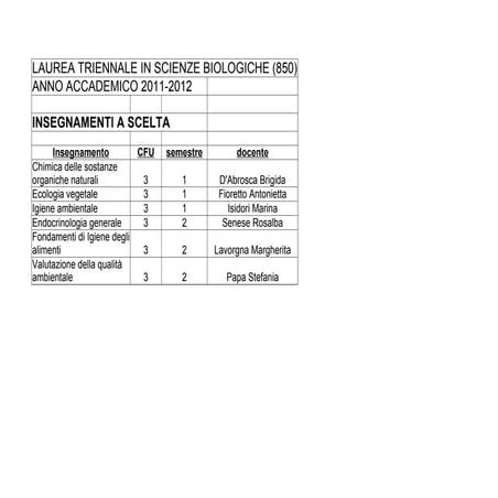 Insegnamenti a scelta