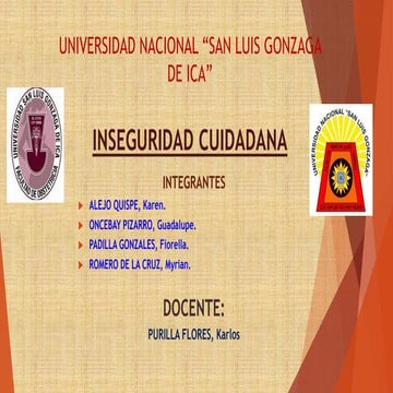 INSEGURIDAD CIUDADANA