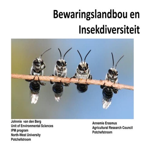 Bewaringslandbou en Insekdiversiteit