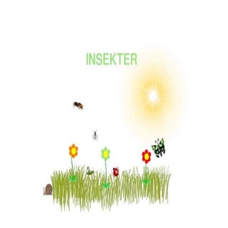 Insektsbok