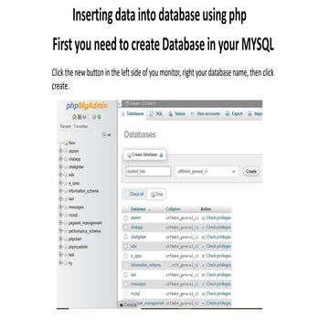 Inserting data using XAMPP and VS studio.pptx