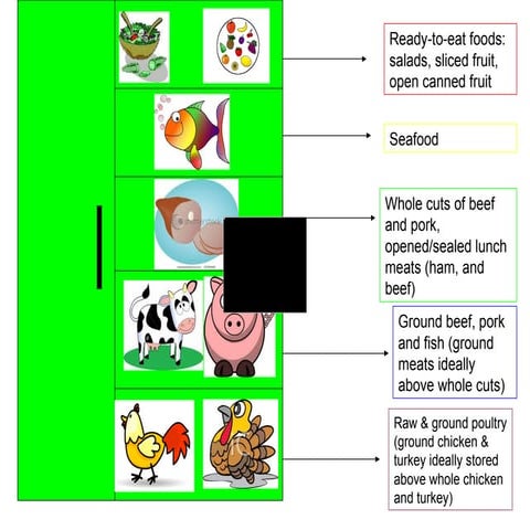 Proper Storage Inservice Handout | PPT