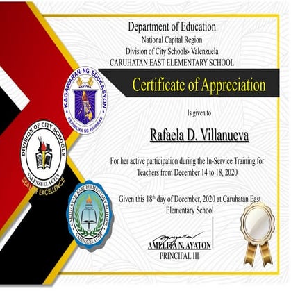 inset-certificate_compress for teachers.pdf