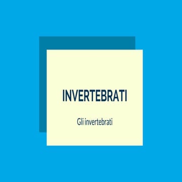 Insetti | PDF