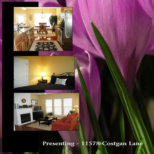11578 Costigan Lane - 4th Floor Condo in Charlotte, NC