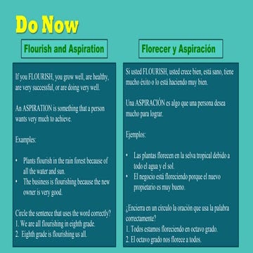 Identifying Central Idea - Review