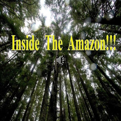 Inside the amazon   
