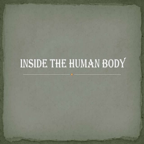 Inside the human body