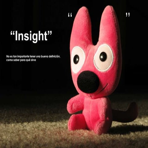 Insight