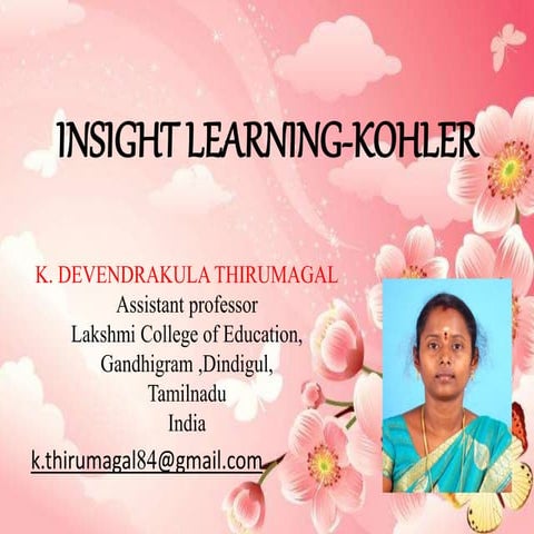 Insight learning kohler