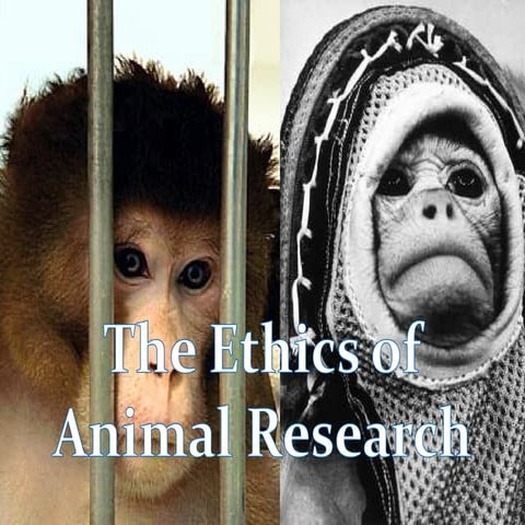 Insights and relevances of Animal Research Ethics.ppt