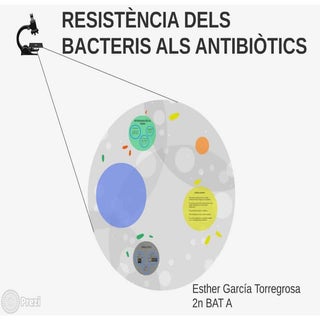 Ins jaume huguet   esther garcía to...