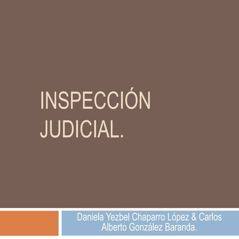 Inspección judicial (1)