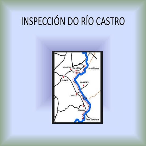 Inspecci n do_r_o_castro22