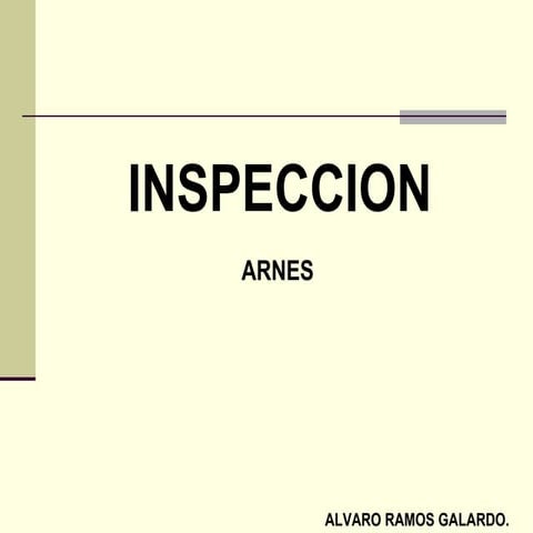 Inspeccion de arneses