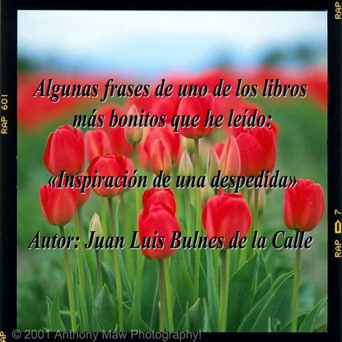 Inspiraciondeunadespedida