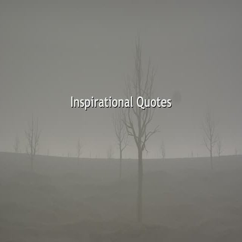 Inspirational Quotes