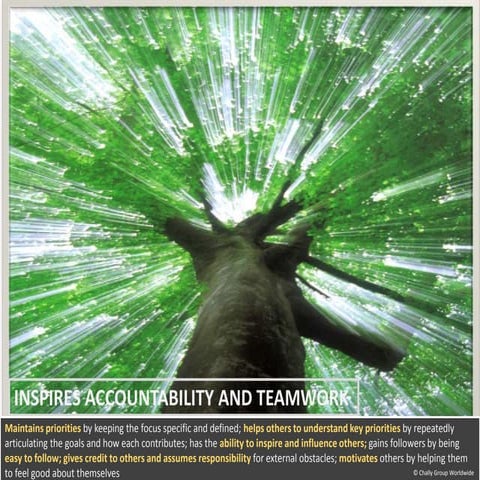 Competency Snapshot: Inspires Accountability and Teamwork