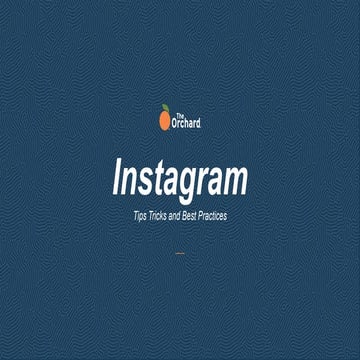 Instagram Best Practices 2021 