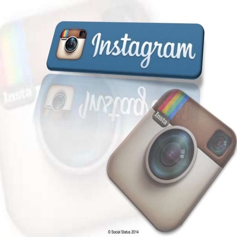 Instagram for Beginners by social status