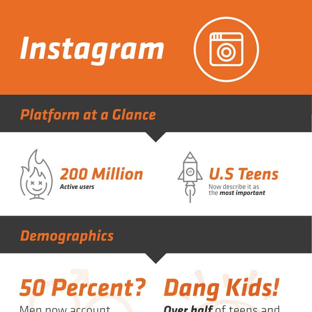Instagram Infographic