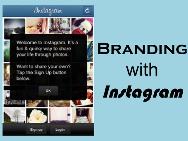 Instagram Research