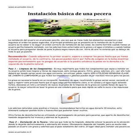 Instalación básica de una pecera