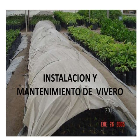 Instalación y mantenimiento de vivero