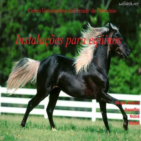 Instalações para eqüinos
