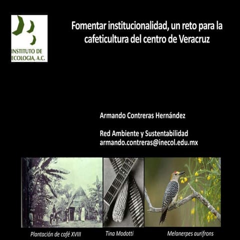 Armando Contreras. Coloquio Regiones, 2010