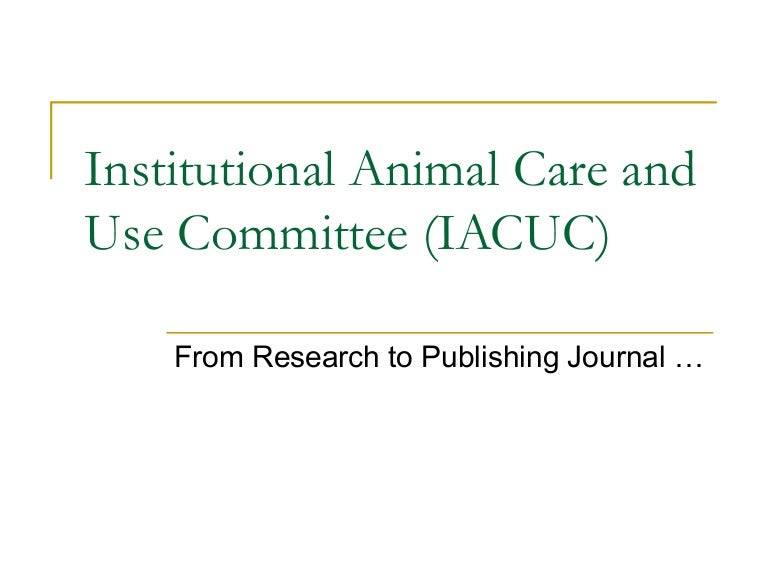 Institutional Animal Care and Use Committee (IACUC)